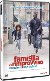 Copertina  Famiglia all'improvviso : istruzioni non incluse