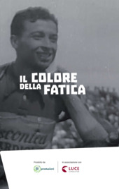 Copertina  Il colore della fatica