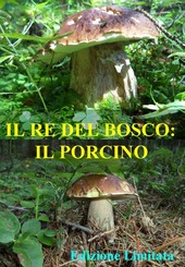 Copertina  Il porcino : il re del bosco