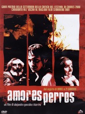 Copertina  Amores perros