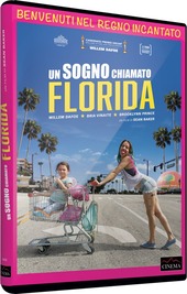Copertina  Un sogno chiamato Florida