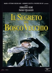 Copertina  Il segreto del bosco vecchio