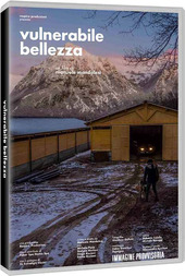 Copertina  Vulnerabile bellezza