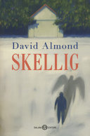 Copertina  Skellig : romanzo